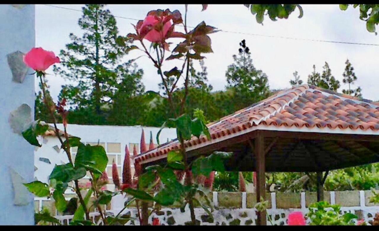 Paraiso. Heated Pool Country house Vilaflor